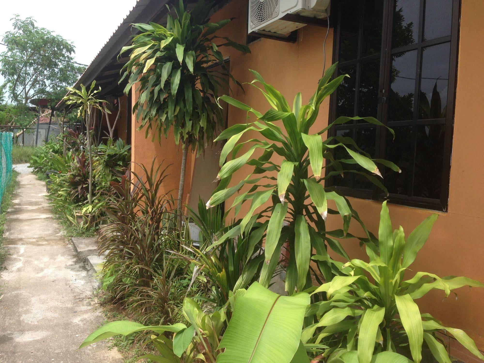 The Village Langkawi Pantai Cenang  Exterior photo