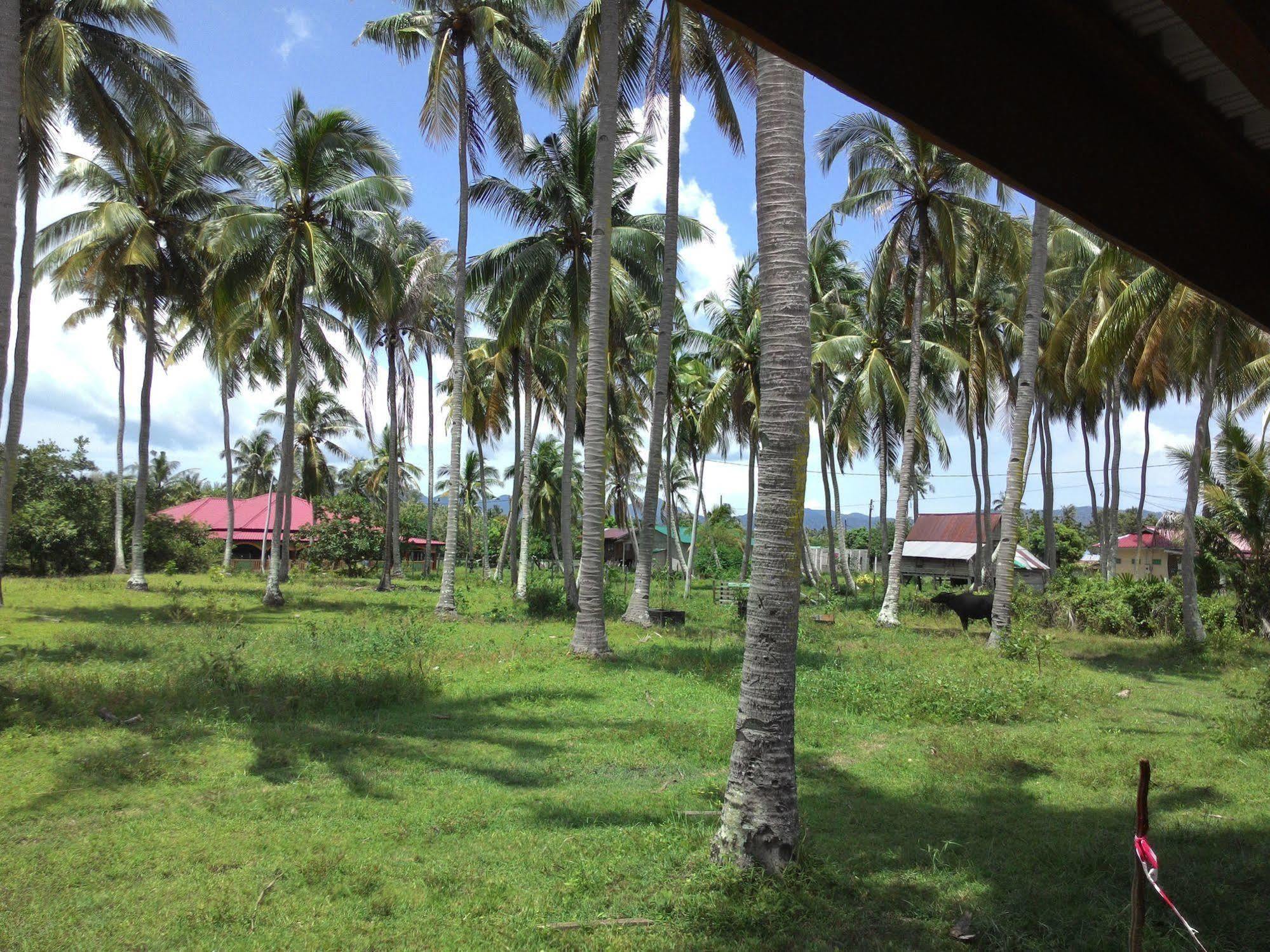 The Village Langkawi Pantai Cenang  Exterior photo
